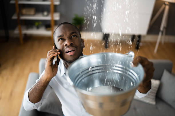 Best Water damage restoration cost  in Colona, IL