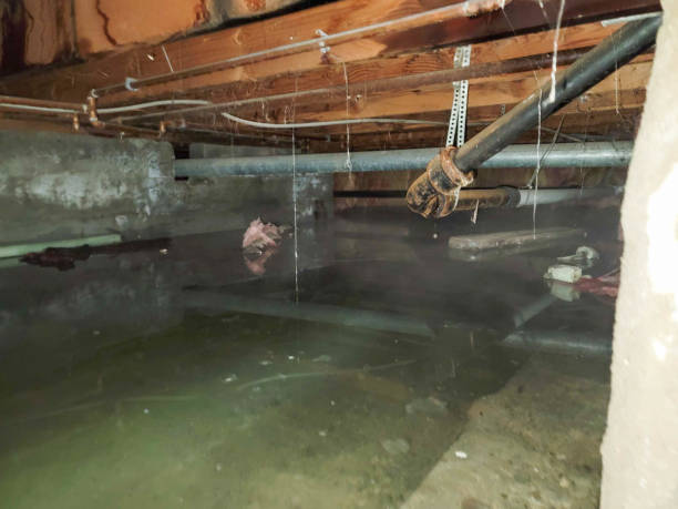 Best Emergency water damage restoration  in Colona, IL