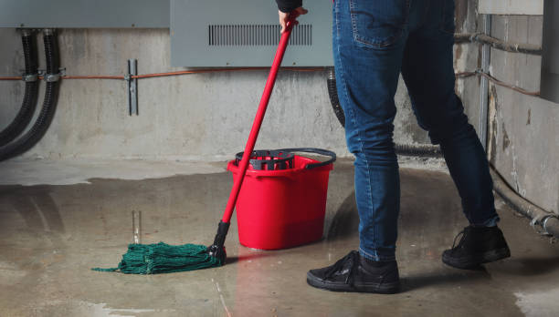 Best Commercial water damage restoration  in Colona, IL