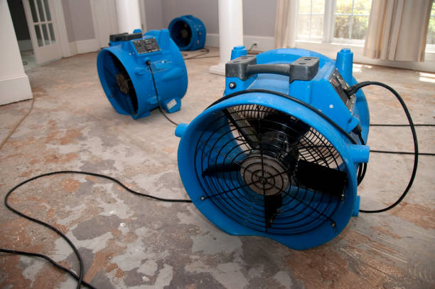 Best Water damage restoration near me  in Colona, IL