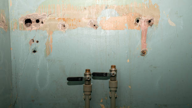 Best Residential water damage restoration  in Colona, IL