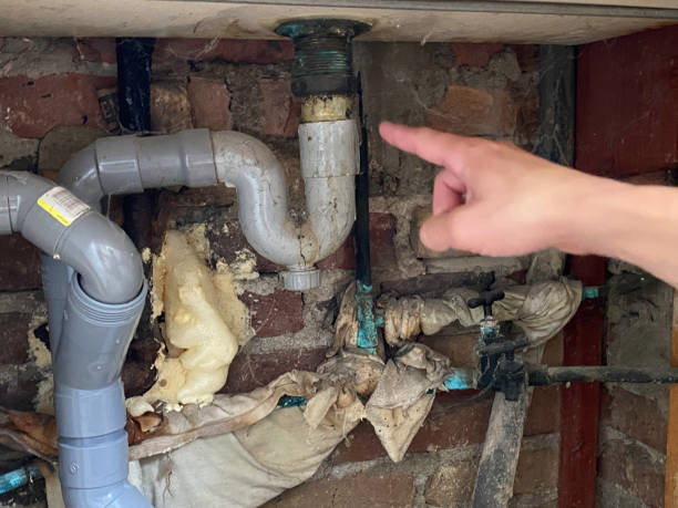 Best Flooded house restoration  in Colona, IL