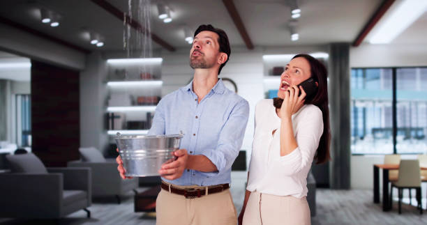 Best Local water damage restoration  in Colona, IL