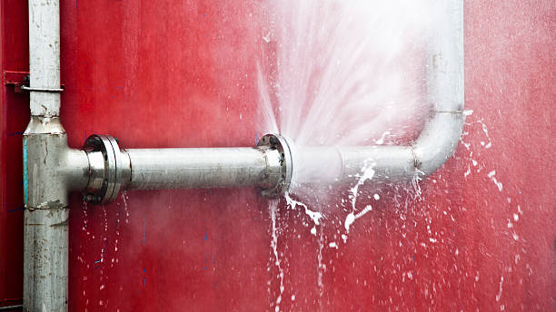  Colona, IL Water damage restoration Pros